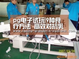 pg电子平台入口