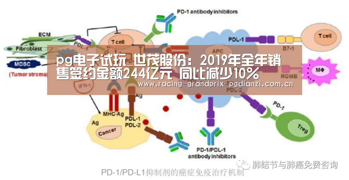 pg电子平台入口