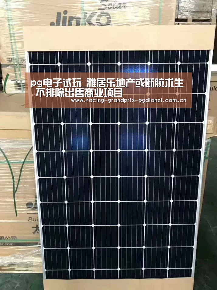 pg电子试玩_雅居乐地产或断腕求生 不排除出售商业项目(图3) pg电子平台入口