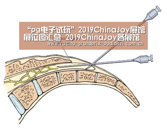 “pg电子试玩”2019ChinaJoy展馆展位图汇总 2019ChinaJoy各展馆展位图分享(图1) pg电子平台入口