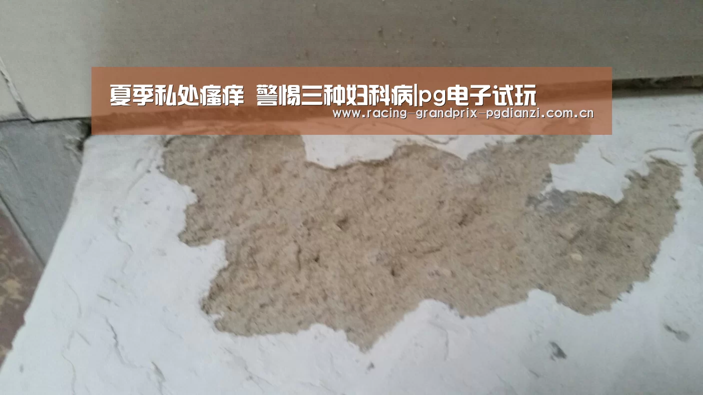 pg电子试玩